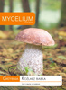 Grzybnia Koźlarz Babka Mycelium 