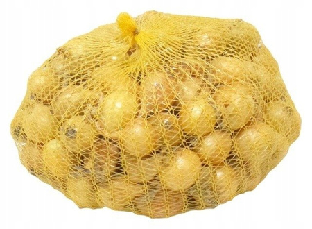 Cebula dymka zimowa Senshyu Yellow 5-20mm 500g x 20szt Piasecki