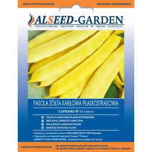 Fasola żółta karłowa Capitano 50 nasion Alseed-Garden