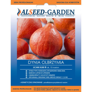 Dynia olbrzymia Uchiki Kuri 10 nasion Alseed-Garden