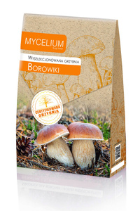 Wyselekcjonowana grzybnia Borowiki 120 g Mycelium