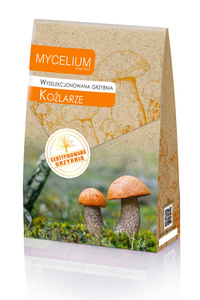 Wyselekcjonowana grzybnia Koźlarze 120 g Mycelium