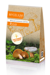Wyselekcjonowana grzybnia Rydze 120 g Mycelium