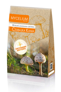 Wyselekcjonowana grzybnia Czubajka Kania 120 g Mycelium