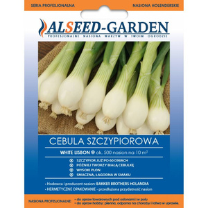Cebula White Lisbon ok.500 nasion Alseed-Garden