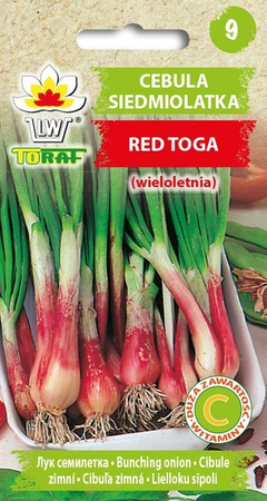 Cebula siedmiolatka Red Toga 1g - 10 op. Toraf