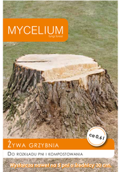 Grzybnia do rozkładu pni i kompostowania Mycelium