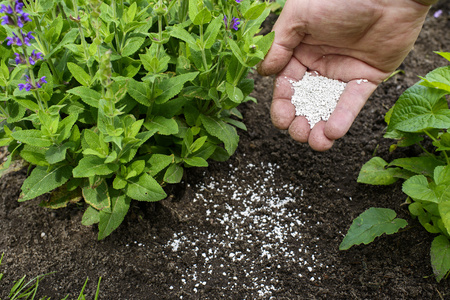 Granulowane wapno kredowe z magnezem 5 kg Ogród Start