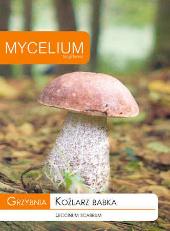 Grzybnia Koźlarz Babka Mycelium 