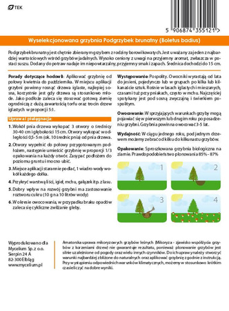 Grzybnia Podgrzybek Brunatny Mycelium 