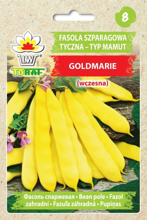 Fasola szparagowa tyczna - typ Mamut - Goldmarie 10g - 5 op. Toraf