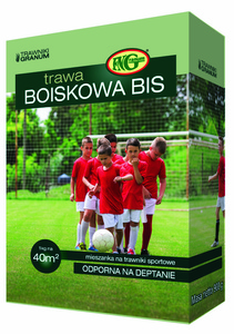 Trawa sportowa Boiskowa Bis 1 kg (torba foliowa) Granum