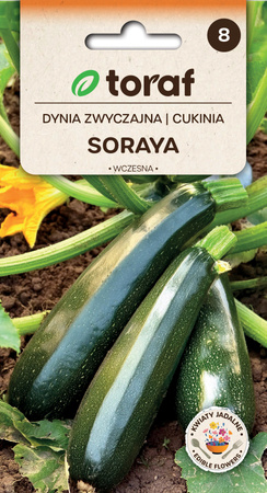 Cukinia Soraya 5g - 10szt. Toraf