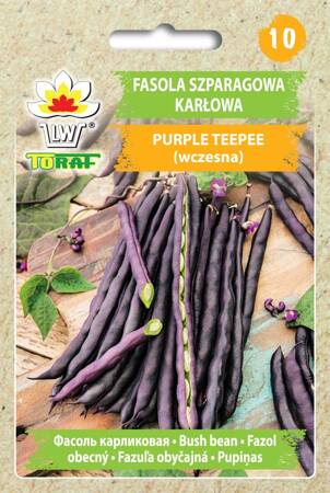 Fasola szparagowa karłowa Purple Teepee 30g - 5szt. Toraf