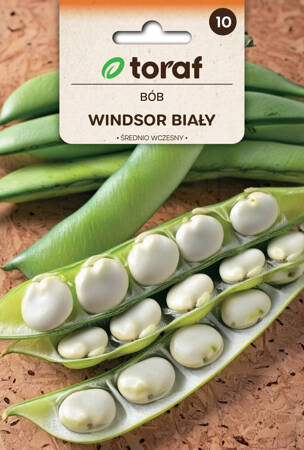 Bób Windsor Biały (średnio wczesny) 50g - 5szt.  Toraf