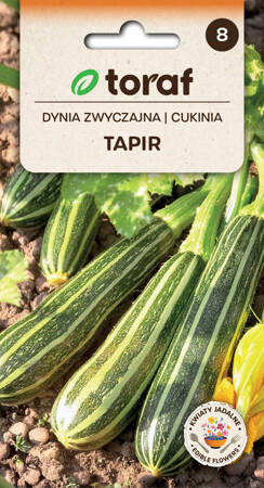 Cukinia Tapir 2g - 10szt. Toraf