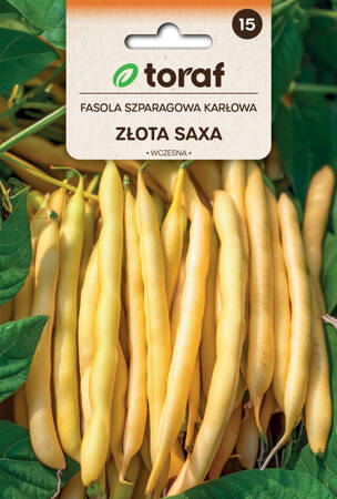 Fasola szparagowa karłowa Złota Saxa 50g - 5szt. Toraf